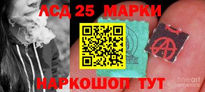 мяу мяу мука Краснознаменск