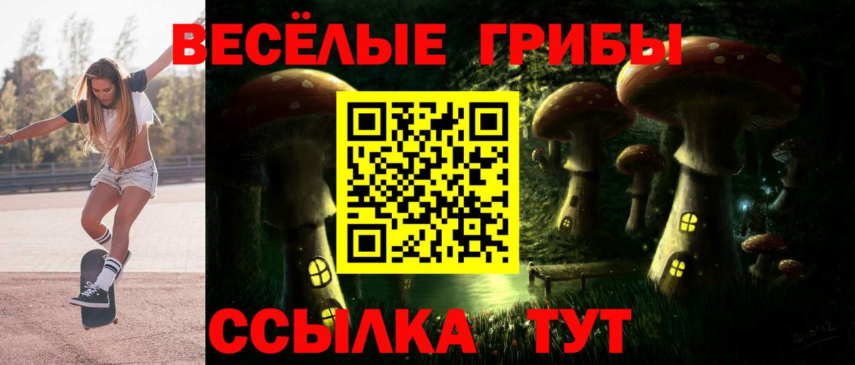 Галлюциногенные грибы ЛСД  Вход с VPN  Камышин  Галлюциногенные грибы Psilocybine cubensis 